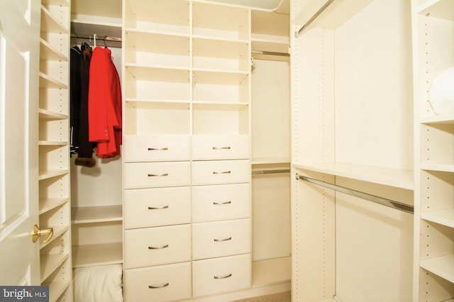 view of walk in closet