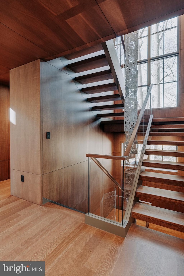 stairway with wood-type flooring, wood ceiling, and wooden walls