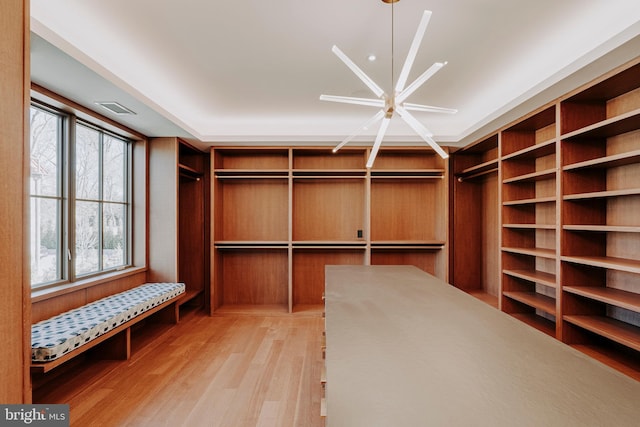 spacious closet featuring ceiling fan and light hardwood / wood-style floors