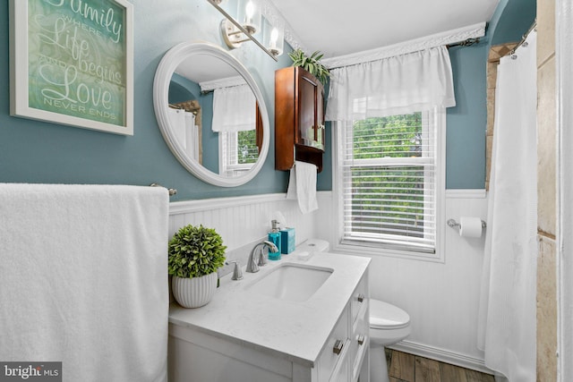 bathroom with vanity, hardwood / wood-style flooring, and toilet