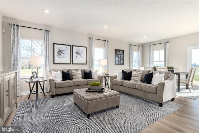 living room with light hardwood / wood-style floors and a healthy amount of sunlight