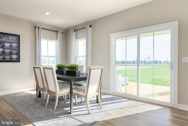 dining area featuring light hardwood / wood-style floors and plenty of natural light