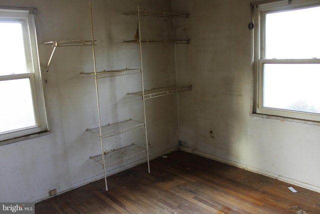 spacious closet featuring dark wood-type flooring