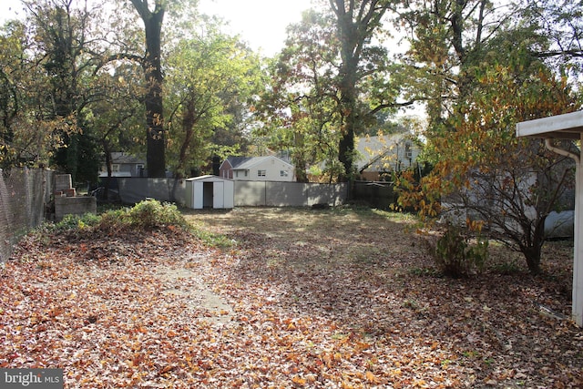 view of yard with a storage unit