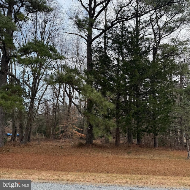 0 Owens Rd, Greenwood DE, 19950 land for sale