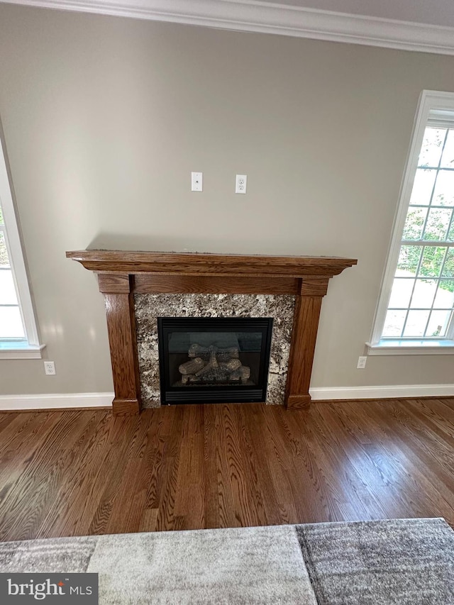 room details with hardwood / wood-style flooring, a premium fireplace, and crown molding