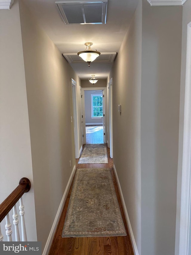 hall with hardwood / wood-style flooring