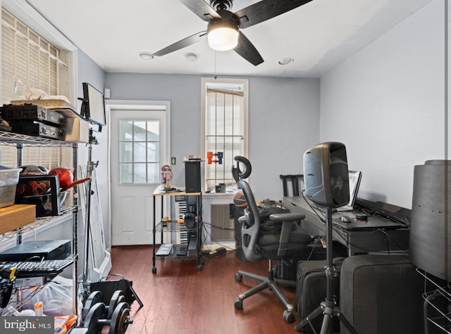 office space with ceiling fan and dark hardwood / wood-style floors