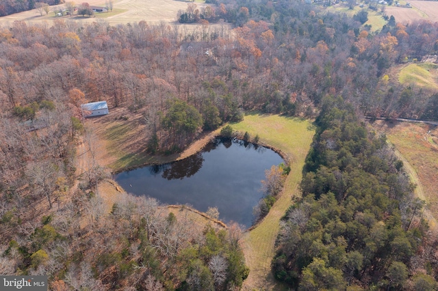 14ACRES Shenandoah Path, Catlett, VA 20119