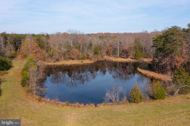 14ACRES Shenandoah Path, Catlett, VA 20119