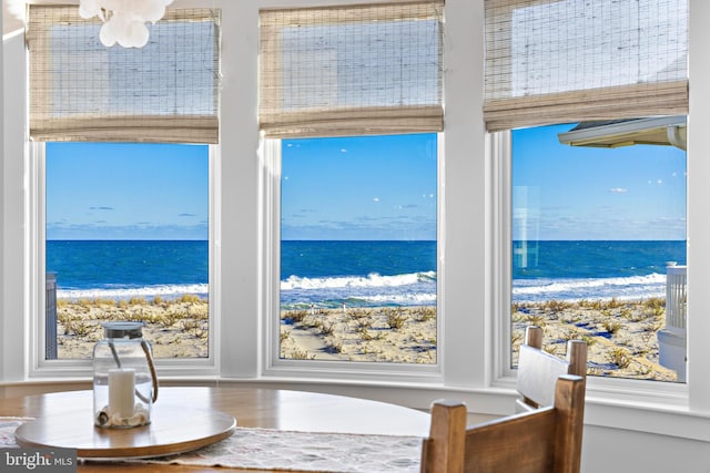 dining room featuring hardwood / wood-style floors, a healthy amount of sunlight, and a water view