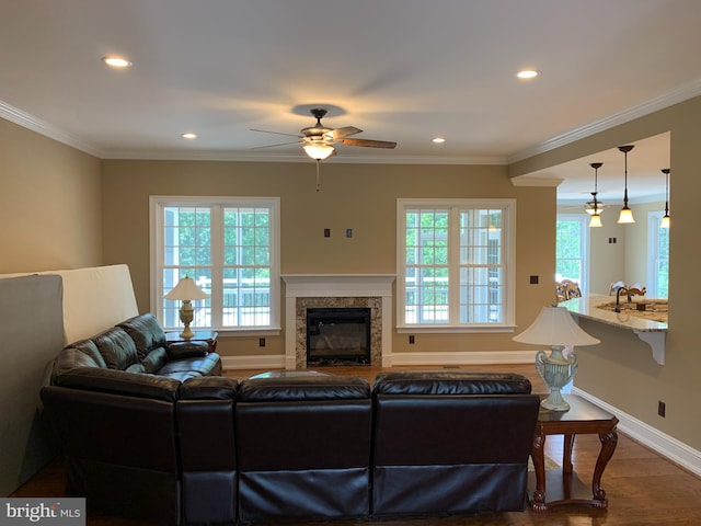 living room featuring ceiling fan, wood-type flooring, and crown molding