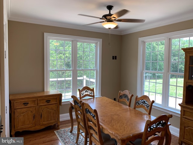 dining area with ceiling fan and plenty of natural light