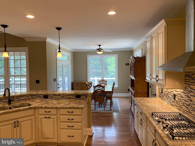 kitchen featuring sink, a wealth of natural light, dark wood-type flooring, and stainless steel gas stovetop