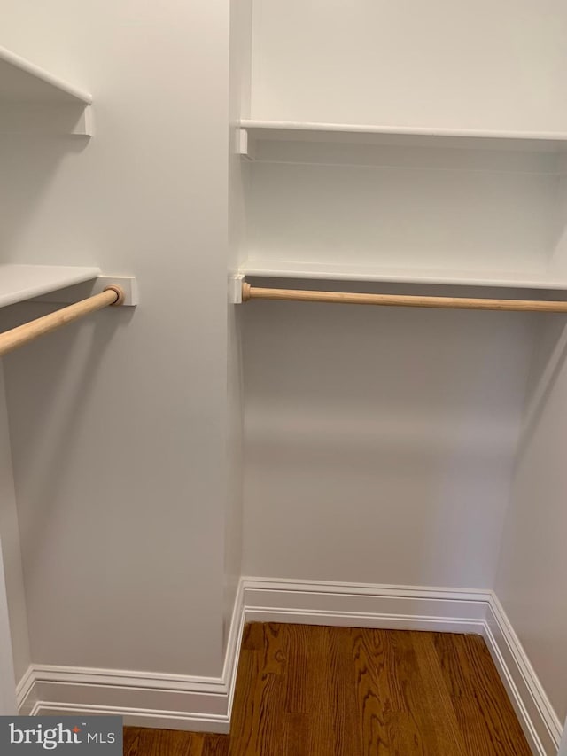 walk in closet featuring dark hardwood / wood-style flooring