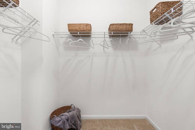 spacious closet with carpet floors