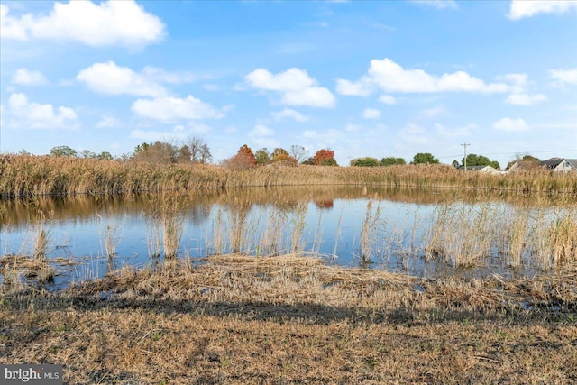 view of water feature