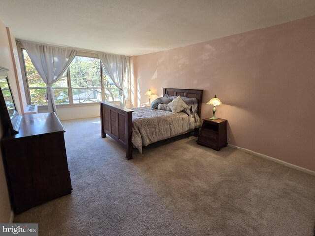 bedroom featuring carpet