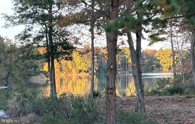 view of nature featuring a water view