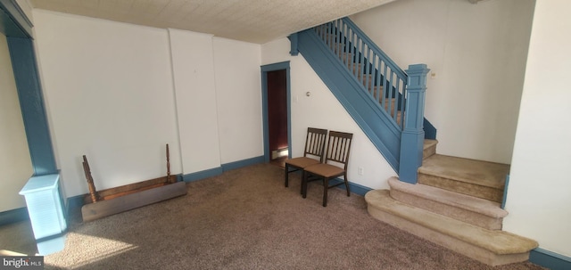 sitting room featuring carpet floors