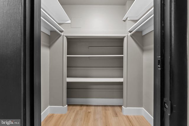 walk in closet featuring light hardwood / wood-style floors