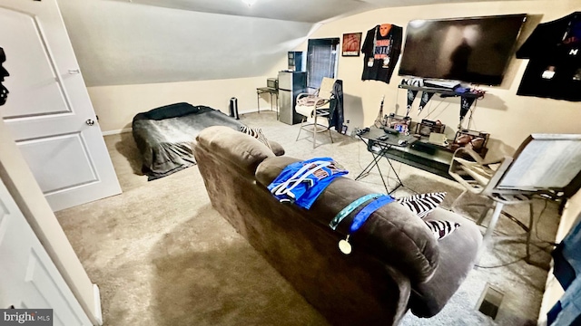 bedroom featuring lofted ceiling