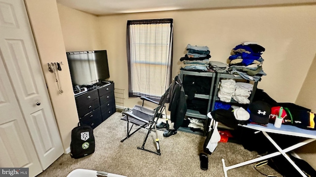 workout room featuring carpet floors