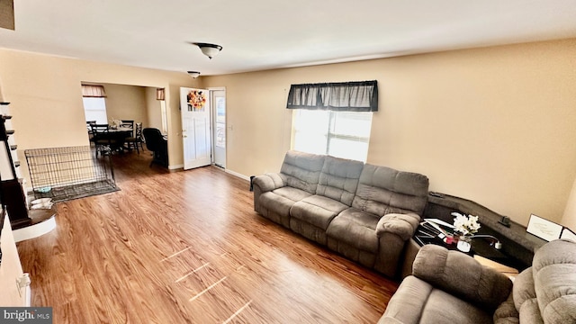 living room featuring hardwood / wood-style floors