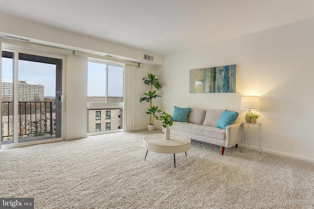 view of carpeted living room