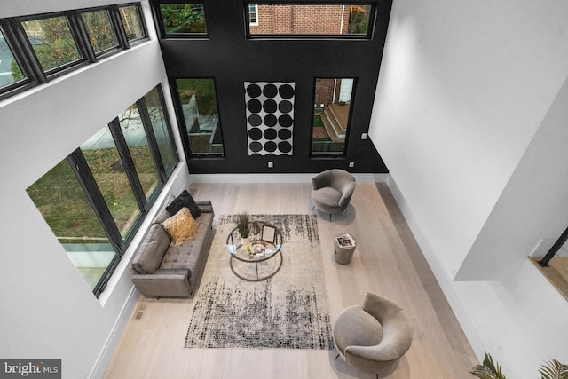 interior space featuring a towering ceiling, light hardwood / wood-style flooring, and a wealth of natural light