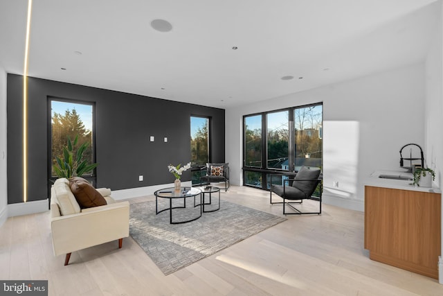 living room featuring light hardwood / wood-style floors and sink