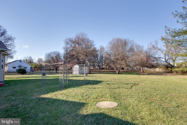 view of yard featuring a storage shed