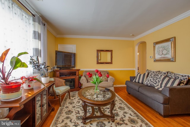 living room featuring crown molding and hardwood / wood-style flooring