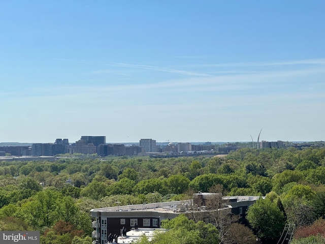 1401 N Oak St Unit 903, 905, Arlington, VA 22209 - view of city