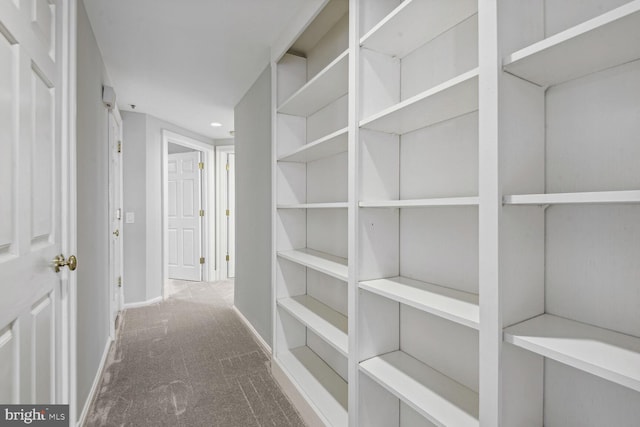 1401 N Oak St Unit 903, 905, Arlington, VA 22209 - corridor featuring carpet floors and baseboards