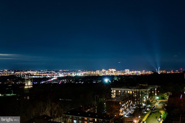 1401 N Oak St Unit 903, 905, Arlington, VA 22209 - city view with a view of city lights