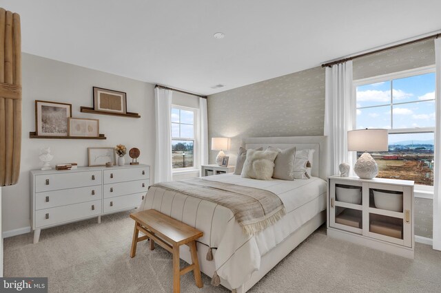 view of carpeted bedroom