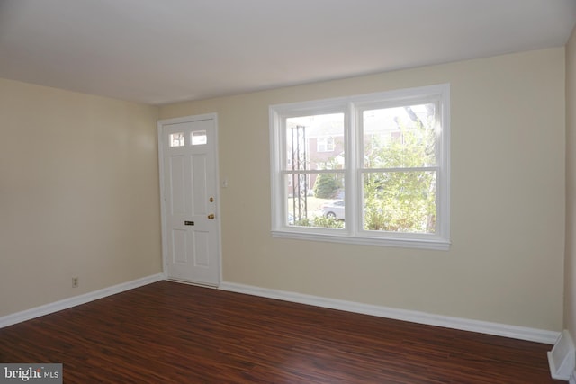 foyer with dark wood-type flooring