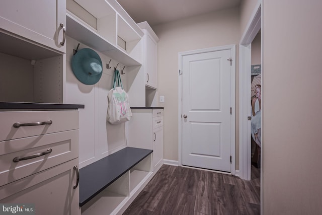 mudroom featuring dark hardwood / wood-style flooring