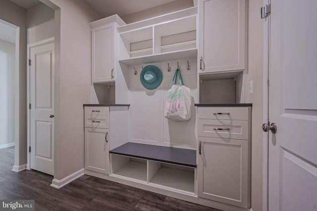 mudroom featuring dark wood-type flooring