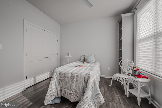 bedroom featuring dark hardwood / wood-style floors and a closet