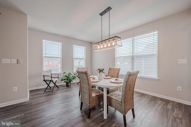 dining room with dark hardwood / wood-style floors