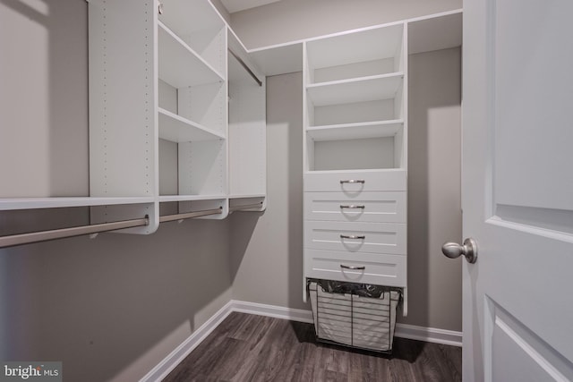 spacious closet featuring dark hardwood / wood-style flooring