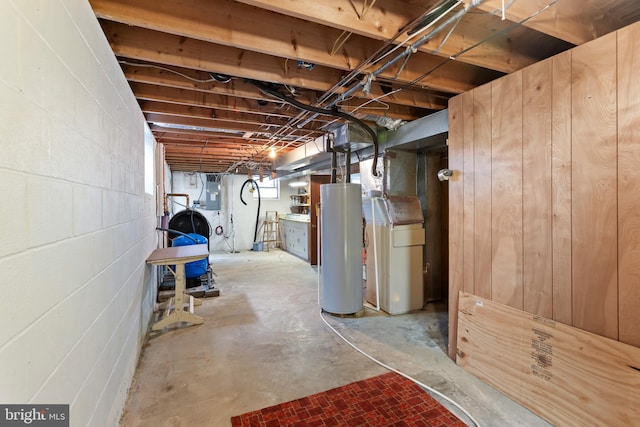 basement featuring electric panel and gas water heater