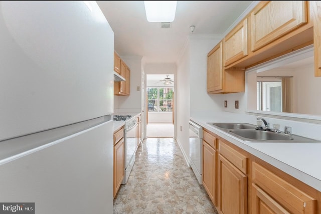 kitchen featuring ceiling fan, sink, crown molding, white appliances, and light brown cabinetry