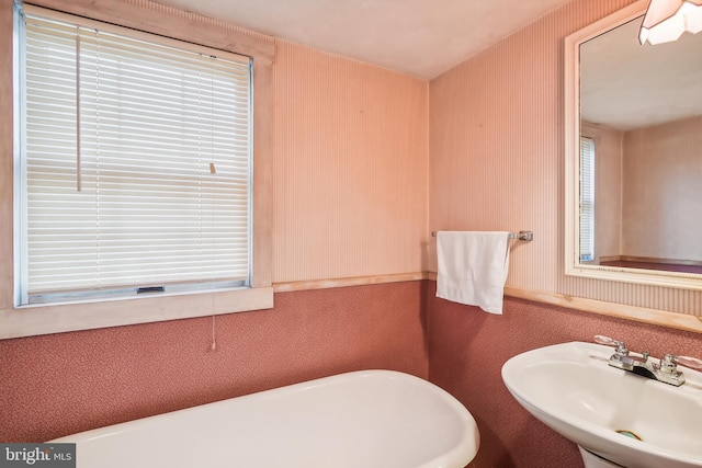 bathroom with a bathtub, a healthy amount of sunlight, and sink