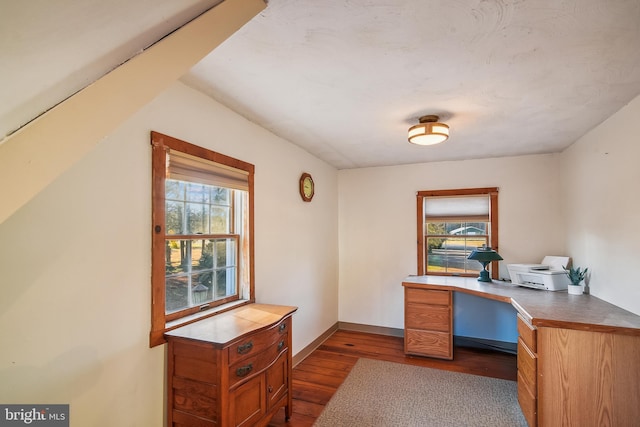 office featuring dark hardwood / wood-style flooring and a healthy amount of sunlight