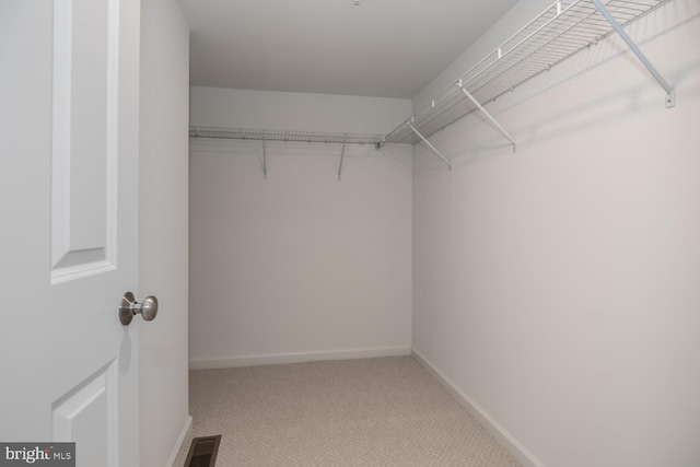 spacious closet featuring light colored carpet