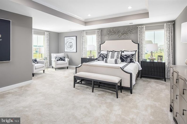 carpeted bedroom with a raised ceiling and crown molding