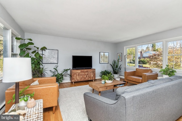 living room featuring hardwood / wood-style floors